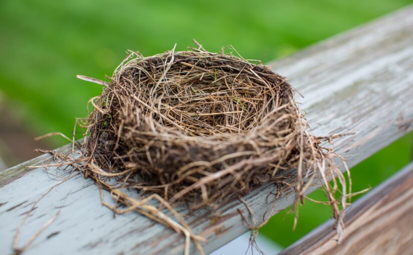 10 Surprising Things About An Empty Nest